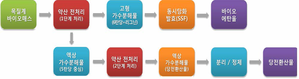 Two-step 전처리 및 탈구조화 공정 체계 모식도