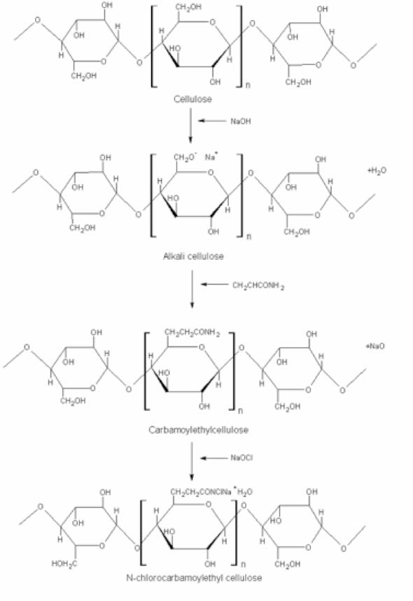 N-chlorocarbamoylethyl 셀룰로오스의 제조 개념도