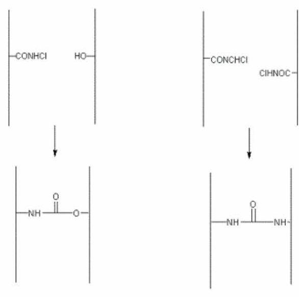 N-chlorocarbamoylethyl화에 의한 셀룰로오스 간 가교결합 개념도