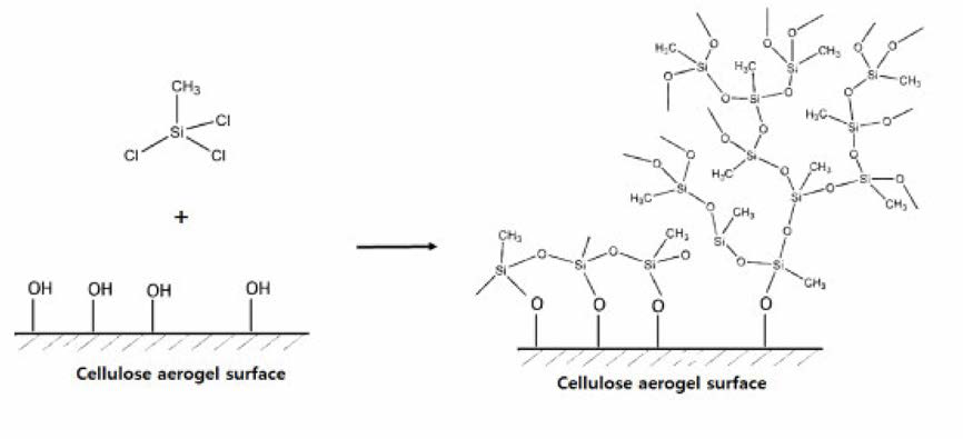 셀룰로오스 에어로겔의 소수성화 처리 개념도