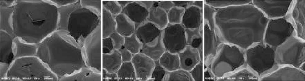 리그닌 첨가 폴리우레탄 폼 단면의 주사전자현미경