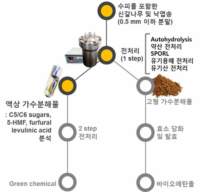 전처리 및 액상 분석 연구 진행 모식도