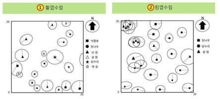 활엽수림과 침엽수림의 수관투영도