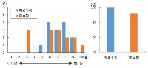 숲의 느낌 형용사로 표현하기(어두운-밝은)