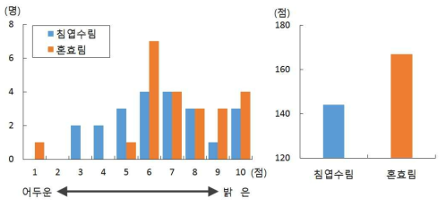 숲의 느낌 형용사로 표현하기(어두운-밝은)