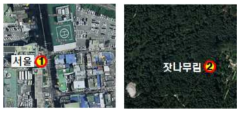 서울 및 잣향기푸른숲의 환경인자 측정지점