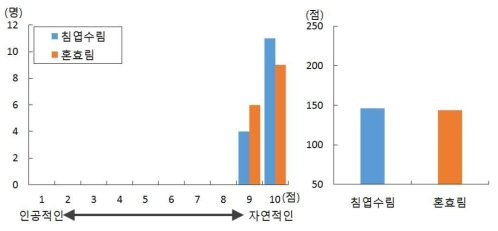 숲의 느낌 형용사로 표현하기(인공적인-자연적인)