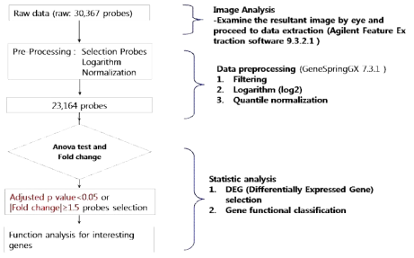 Data analisys flow