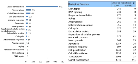 Biological process에 따른 유전자 분석