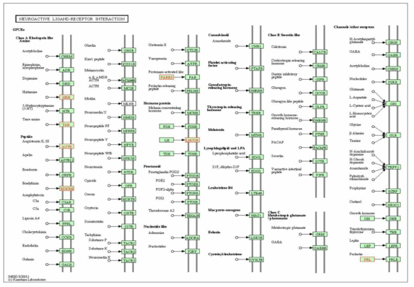 모성분리 rat에 피톤치드의 처치에 의해 발현 변화된 Neuroactive ligand-receptor interaction pathway에 속하는 유전자