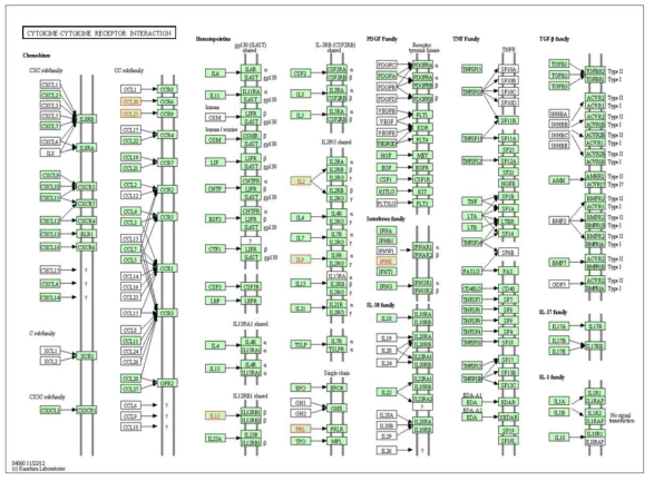 모성분리 rat에 피톤치드의 처치에 의해 발현 변화된 Cytokine-cytokine receptor interaction pathway에 속하는 유전자들