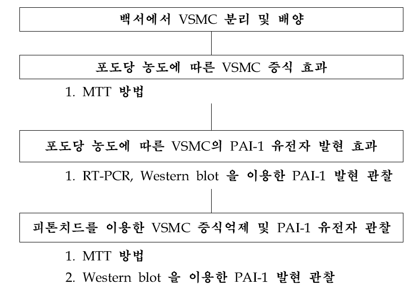 연구절차