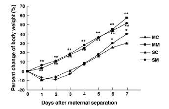 Changes of body weight on maternally-separated rats.