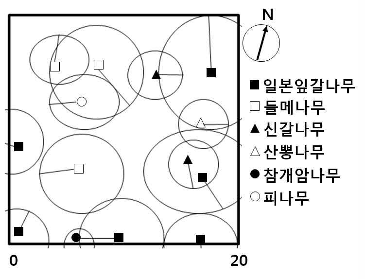 혼효림 수관투영도