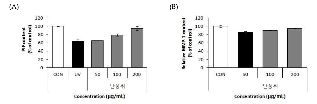 Effects of Danpungchwi (Ainsliaea acerifolia Sch. Bip.) on PIP content and MMP-1 content in Human fibroblast cells.