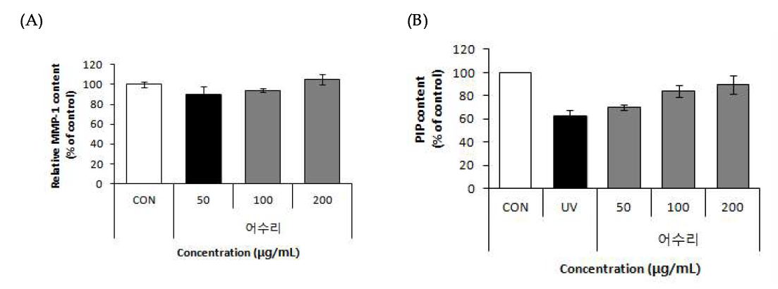 Effects of A cow parsnip (Heracleum moellendorffii HANCE) on PIP content and MMP-1 content in Human fibroblast cells.