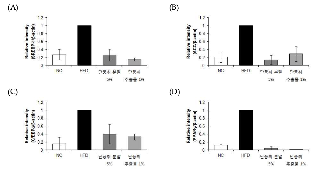 Effect of 70% EtOH extract of Danpungchwi (Ainsliaea acerifolia Sch. Bip.) on SREBP-1 (A), ACC (B), C/EBPα (C), PPARγ (D).