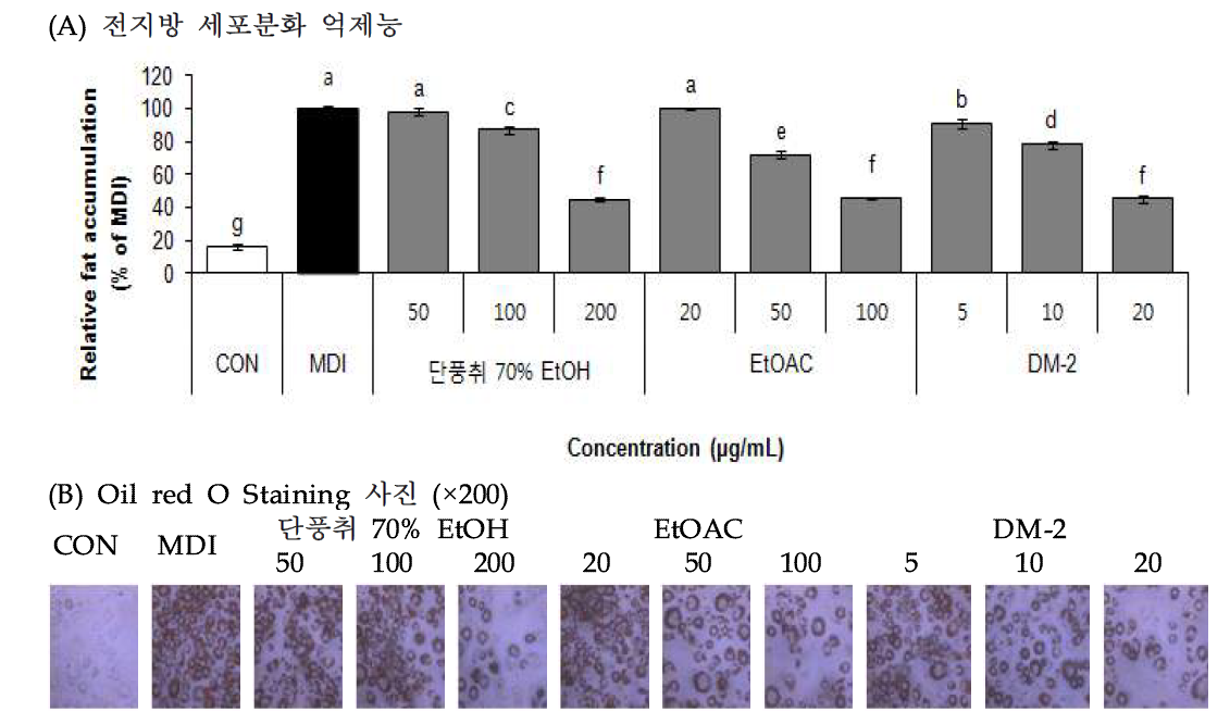 Effect of Danpungchwi (Ainsliaea acerifolia Sch. Bip.) isolated compounds on adipocyte differentiation in 3T3-L1 cells.