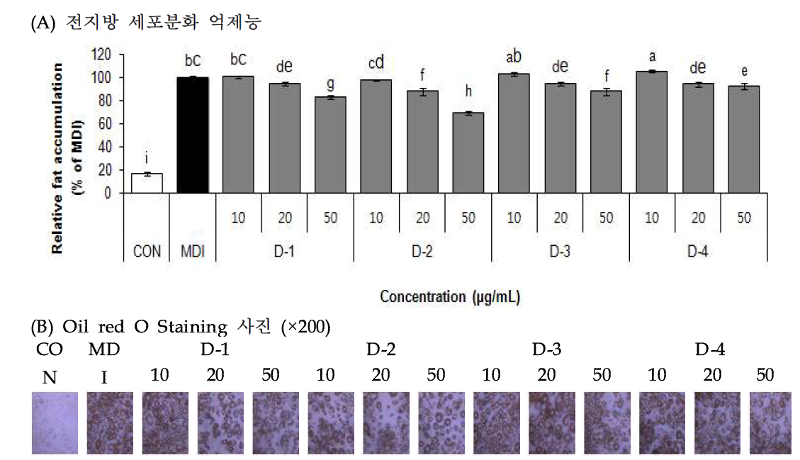 Effect of Danpungchwi (Ainsliaea acerifolia Sch. Bip.) isolated compounds on adipocyte differentiation in 3T3-L1 cells.