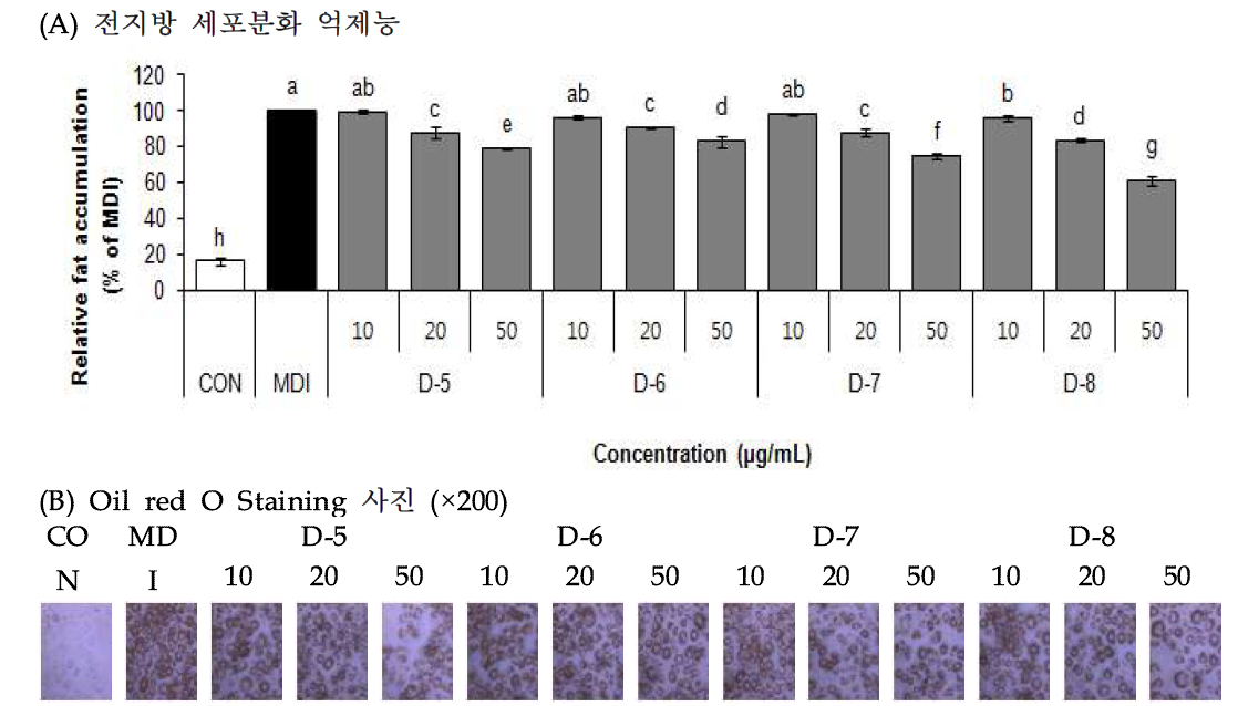 Effect of Danpungchwi (Ainsliaea acerifolia Sch. Bip.) isolated compounds on adipocyte differentiation in 3T3-L1 cells.