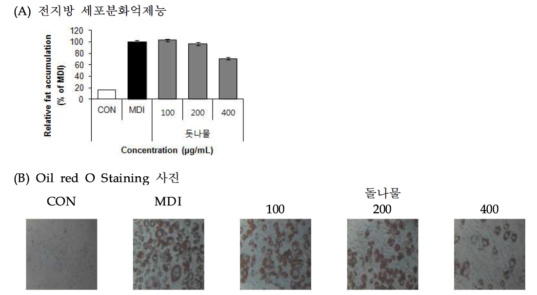 Effect of Dotnamul (Sedum sarmentosum Bunge) 70% EtOH extract on lipid accumulation.