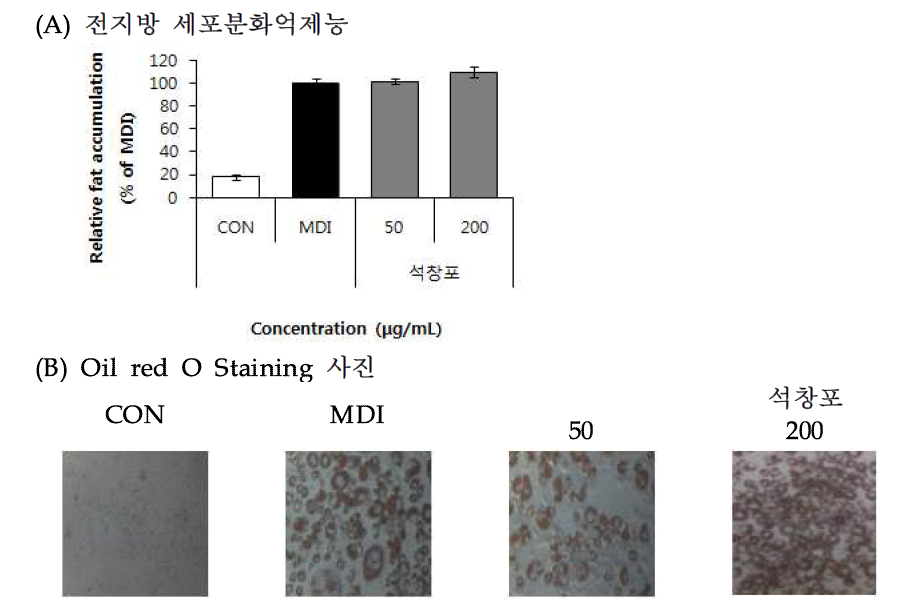 Effect of Grass-leaved sweet flag (Acorus gramineus Soland.) 70% EtOH extract on lipid accumulation.