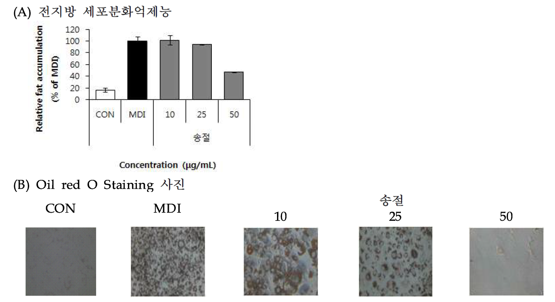 Effect of Song-jeol (Pinus densiflora) 70% EtOH extract on lipid accumulation.