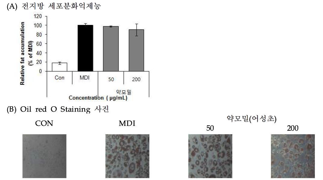 Effect of Heartleaf houttuynia (Houttuynia cordata Thunb.) 70% EtOH extract on lipid accumulation.