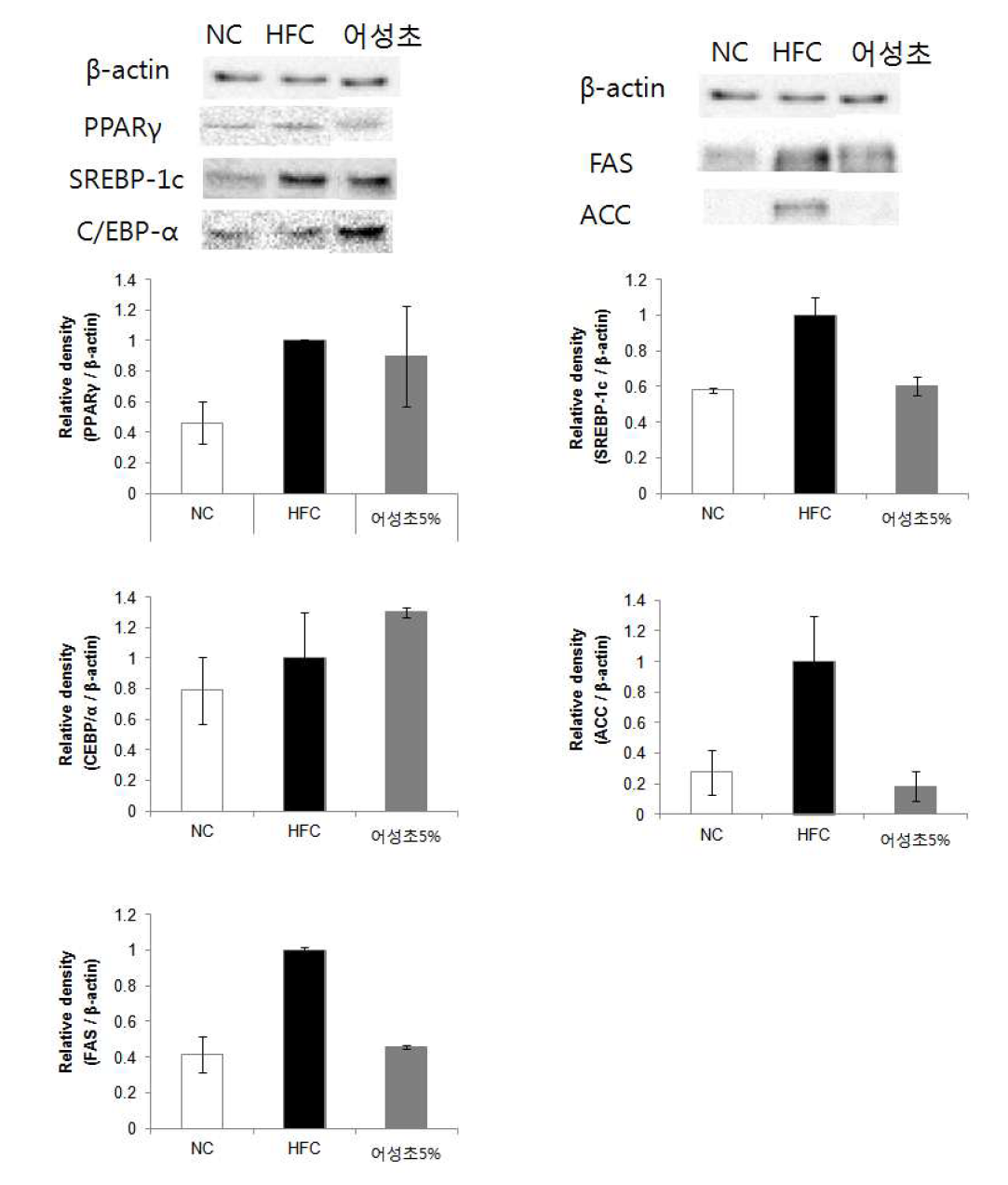 Protein expression effects of liver confirmed western blotting. The relative intensities SREBP-1c(A), FAS(B), ACC(C) expression compared with the β-actin expression were determined using Quantity One software.