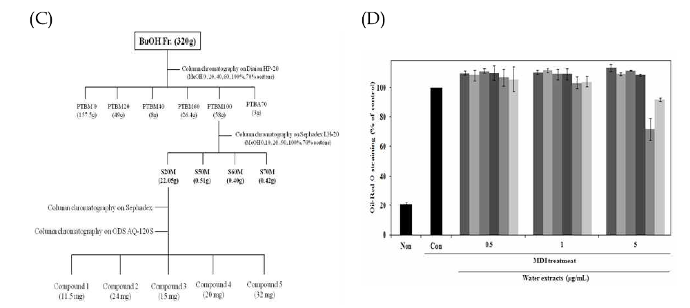 Isolation of compounds from BuOH fraction (C) and Inhibitory effect of several solvent fraction from P. tenuifolia on the lipid accumulation (D) in 3T3-L1 adipocyte