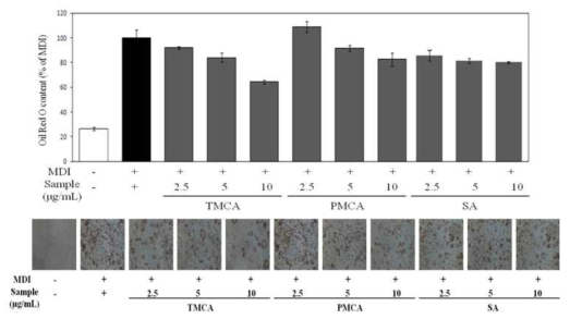 Effect of P.tenuifolia compounds on relative fat accumulationin 3T3-L1 cells.