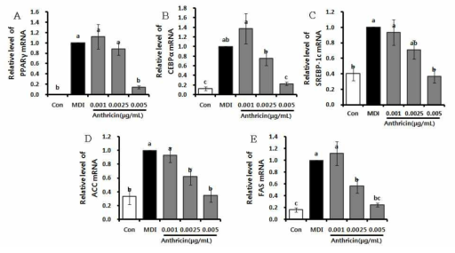 Representative Real-Time PCR analysis of Anthricin