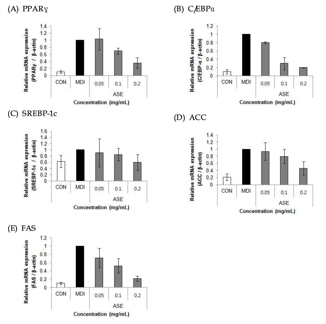 Effects of 70% ethanol extracts of Rough aster (Aster scaber Thunberg) on PPARγ, C/EBPα, SREBP-1c, ACC, FAS mRNA expression in 3T3-L1 cells