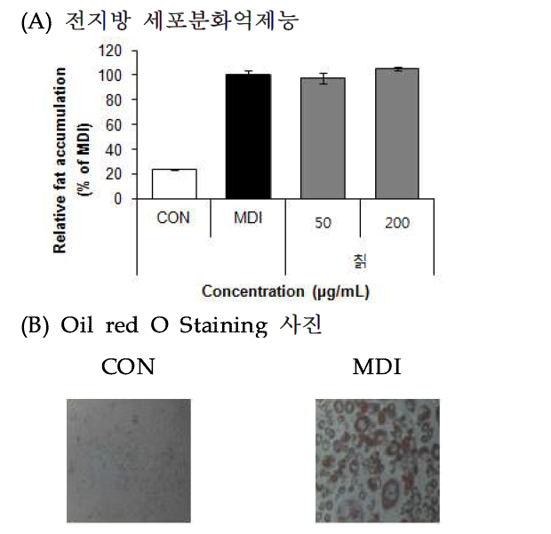 Effect of kudzu vine (Pueraria thunbergiana) 70% EtOH extract on lipid accumulation.