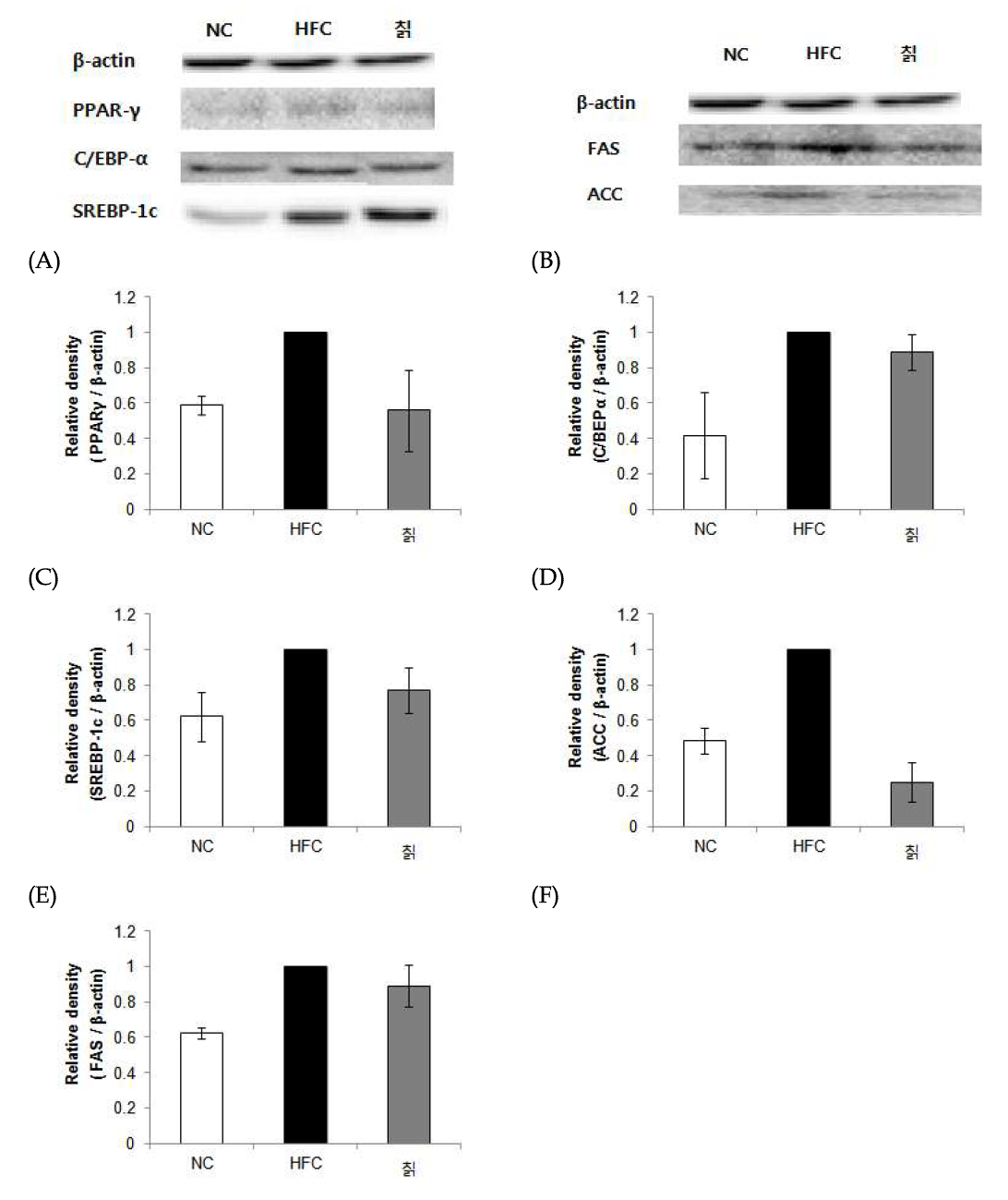 Effect of 70% EtOH extract of Danpungchwi (Ainsliaea acerifolia Sch. Bip.) on PPARγ(A), C/EBPα (B), SREBP-1 (C), ACC (D), FAS (E).