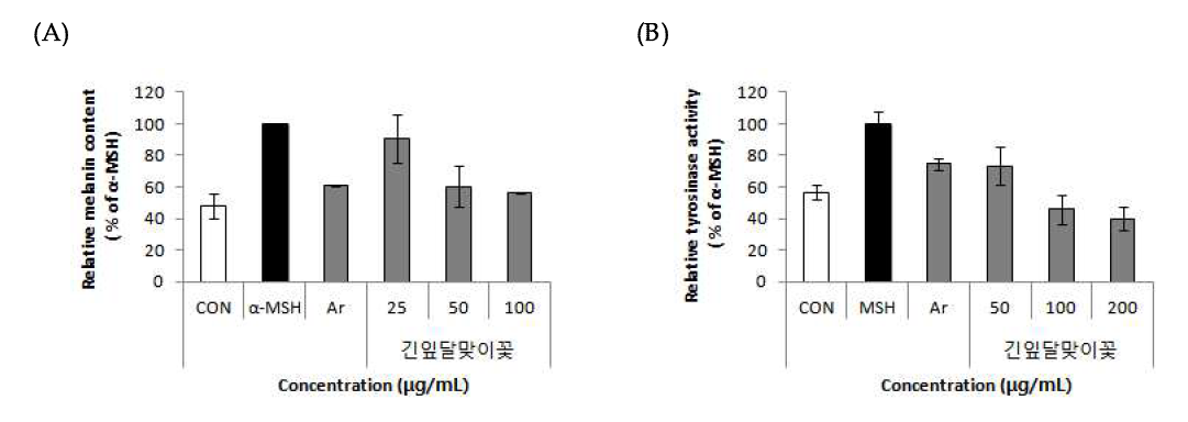 Effects of primrose (Oenothera stricta Ledeb.) on melanin content and tyrosinase activity in B16F10 cells.