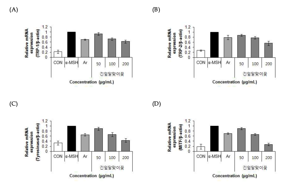 Effect of 70% ethanol extract of primrose (Oenothera stricta Ledeb.) on TRP-1, TRP-2, Tyrosinase, MITF mRNA expression in B16F10 cells. Values are means±SD