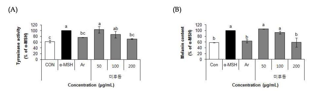 Effect of 70% EtOH extract of Mihudeung (Actinidia arguta (Siebold&Zucc.) Planch. ex Miq.) on tyrosinase activity (A), melanin content (B).