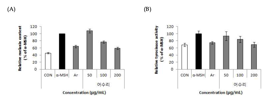 Whitening effect of 70% ethanol extract from A cow parsnip (Heracleum moellendorffii HANCE) on melanin content (A) and tyrosinase activity (B) in B16F10 cell. Values are means±SD
