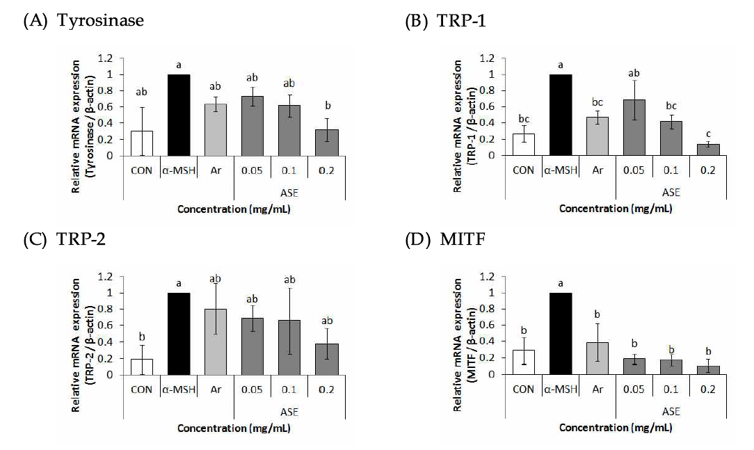 Effect of 70% ethanol extract of Rough aster (Aster scaber Thunberg) on Tyrosinase, TRP-1, TRP-2, MITF mRNA expression in B16F10 cells