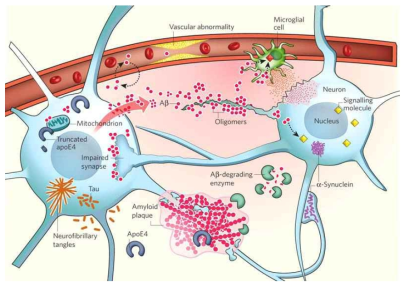 Some key players in the pathogenesis of Alzheimer’s disease