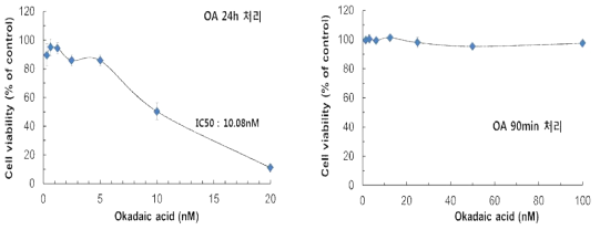 BE-APP/swe (BA3) 세포의 okadaic acid에 대하여 24 시간(왼쪽)과 90분 (오른쪽)동안 세포에 처리 하였을 때 세포의 생존성 변화