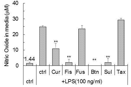 옻나무 분리물질이 LPS 유도 BV2 세포 NO 방출에 미치는 영향