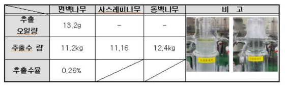 편백나무 잎, 사스레피나무 잎 그리고 동백나무 잎 시료의 증기증류 추출 결과