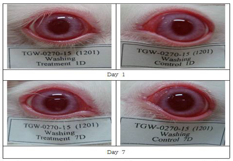 Eye photographs of washing group treated with Chamaecyparis obtusa on day 1 and day 7.