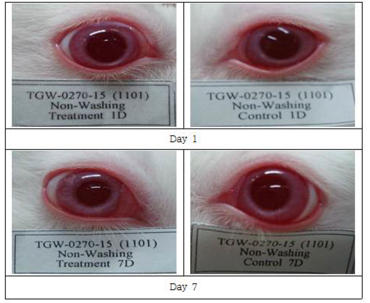 Eye photographs of non-washing group treated with Chamaecyparis obtusa on day 1 and day 7.
