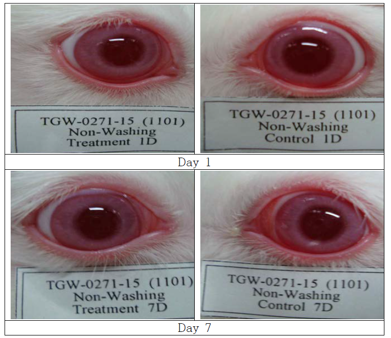 Eye photographs of non-washing group treated with Camellia japonica on day 1 and day 7.