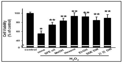 사람 각막세포에서 산화성 스트레스 유도제인 H2O2에 대한 편백 분획물의 차단작용