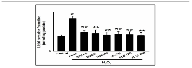 사람 각막세포에서 산화성 스트레스 유도제인 H2O2에 대한 LPO 형성에 대한 편백 분획물의 차단작용