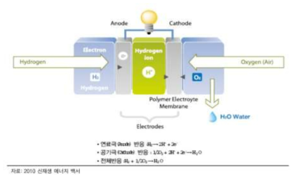연료전지의 작동원리